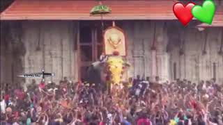 Thrissur  pooram mass entery of thechikottukav ramachandern