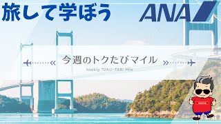 今週のトクたびマイル【旅して学ぼう】