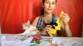 Diy: como fazer gravata para Pet (Cat OR Dog)