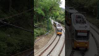 56A-s Tátra villamos megy át a Hűvösvölgyi viadukt alatt #tram #tatra #spotting #shorts