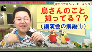 鳥さんのこと知ってる？？（講演会の解説①）　ハッピーインコ＆はがひでき