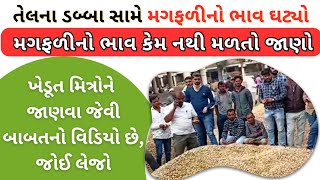 મગફળીનો ભાવ કેમ નથી મળતો | ટેકાના ભાવ | મગફળી નો ભાવ ઘટયો | Today Magfali Bajarbhav | Gondal Haraji