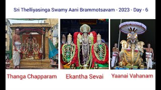 Sri Thelliyasinga Swamy Aani Brammotsavam - 2023 - Day - 6 - Ekantha Sevai