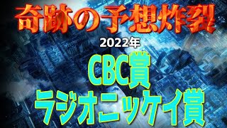 奇跡の予想炸裂、CBC賞、ラジオＮＩＫＫＥＩ賞2022 かずちゅーの競馬予想