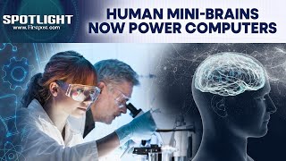 Swiss Scientists Create Computers Made from Living Brain Cells | Spotlight | N18G