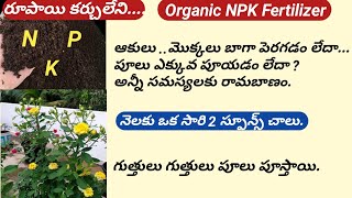 How to make Organic NPK Fertilizer at Home/Best Quality Homemade NPK/Easy Method.