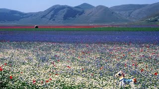 CASTELLUCCIO di NORCIA ( PG) La Fioritura ( flowering) VIDEO + PHOTO slideshow