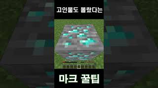 마크 고인물도 몰랐다는 마크 꿀팁