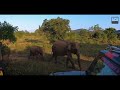 elephant attack habarana elephant safari hurulu eco park sri lanka travellers by willrich