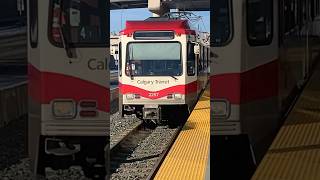 SD160 Series 7 At Crowfoot Station #2257 #2271 #2264 #transit #travel #fyp #train #shorts #short