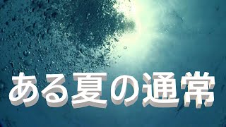 鴨川シーワールド２０２１　シャチパフォーマンス１０９４　シーカモのある夏の通常