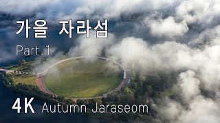 4K / 가을자라섬  Part.1 / Autumn Jaraseom Part.1 / 드론영상 / 힐링자연영상 /