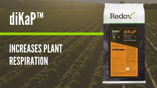 diKaP - Redox Bio-Nutrients