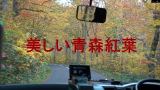 美しい青森紅葉。十和田湖畔・バス旅行。