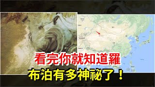 看完，你就知道羅布泊有多神祕了！，[科學探索]