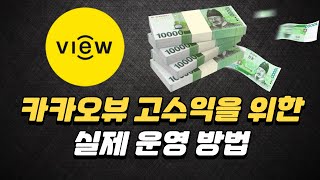 카카오뷰 고수익을 위한 실제 운영 방법