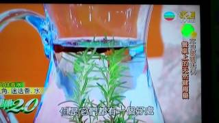 健康两点灵辛香料抗癌料理 2