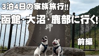 【フレブル こまきな 車中泊旅行】函館・大沼・鹿部へ行く！ 前編　Frenchbulldog