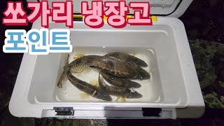 쏘가리 낚시 바로 시작하세요~ 4짜 쏘가리 마수 미노잉 게임