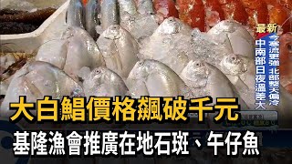 大白鯧價格飆破千元　基隆漁會推廣在地石斑、午仔魚－民視新聞