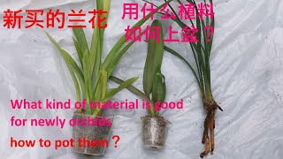 种植兰花用什么植料好，新买的兰花如何上盆/What kind of material is good for newly orchids, and how to pot them