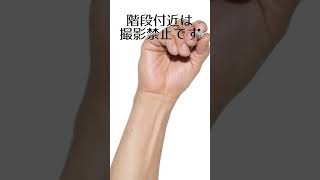 【松本城公式】#15 天守見学の際のお願い / Safety Guidance