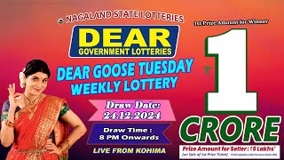 LOTTERY SAMBAD DEAR 8 PM 24.12.2024 NAGALAND LOTTERY LIVE DEAR LOTTERY LIVE LOTTERY SAMBAD LIVE