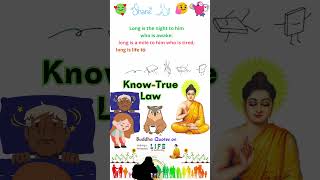 Buddha Quotes 141 Know True Law #shorts