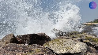 Preethipura beach 🌊 #preethipurabeach #wattala #viral #trending #viralshorts #beach #viralvideo