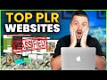 Use These Top Websites To Make Money Online Selling Digital PLR Products!