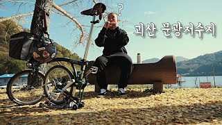 브롬톤 타고 은행나무길을 갔는데!!!!