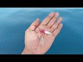 MICRO JIG 10 GRAM !!! PANEN IKAN LEZAT DI KARANG DANGKAL || SOLO FISHING INFLATABLE BOAT