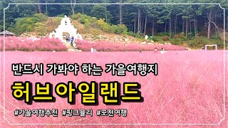 [포천여행] 가을여행지 강력추천 핑크뮬리 축제의현장💐/임영웅 고향 포천 대표여행지 허브아일랜드 /가을억새/ 공룡마을/ 산타마을/ 야경명소/추억의거리/사진명소/식물원