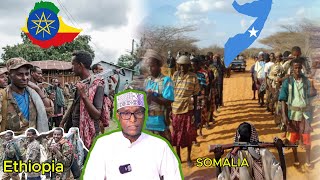 Dagaalada ka socda Ethiopia  iyo kuwa Somalia maxay ku kala duwanyihiin?\