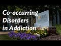 How co-occurring disorders in addiction are treated at Rogers Behavioral Health