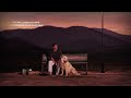 Jamie Miller - Guidebook To Healing [Official Lyric Video]
