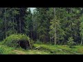 The Truth Lies in the Woods