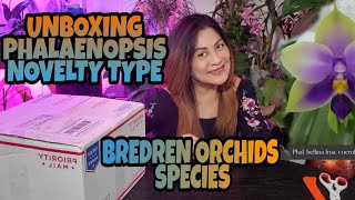 UNBOXING PHALAENOPSIS COLLECTION SPECIES   NOVELTY TYPE FROM BREDREN ORCHIDS