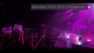 Дельфин - Концерт 14.02.2025 СПб Аврора