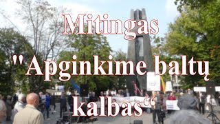 Mitingas \