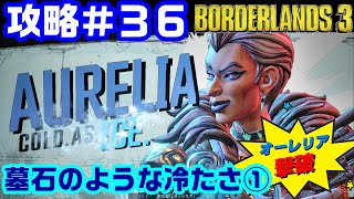 【Borderlands3】ボーダーランズ３攻略#36 墓石のような冷たさ①