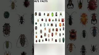 Top 3 amazing facts 😵‍💫😱 #facts #amazingfacts #animals #naturefacts #trending #viralshorts #hufacts