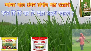 আমন ধানের প্রথম চাপানসার প্রয়োগ। কখন কি কি সার কিভাবে প্রয়োগ করবেন? ভিডিওটি একবার দেখুন।