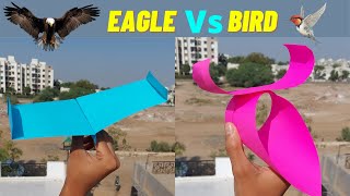 Eagle Vs Bird Paper Plane | Paper Plane | How to Make Paper Plane | Mad Times