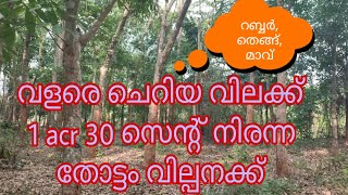 ചെറിയ വിലക്ക് 1 acr 30 സെന്റ് റബ്ബറും, തെങ്ങും കൂടിയ നിരന്ന തോട്ടം വില്പനക്ക്, ടാറിങ്ങിന് അരികിൽ