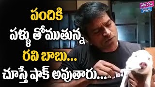 Actor Ravi Babu Different Promotion For His Adhugo Movie With Pig | Tollywood | YOYO Cine Talkies