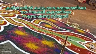 Nagakkalam, Sarppakkalam, Pulluvanpattu,കരിവേലിൽ കുടുംബക്ഷേത്രത്തിൽ നടന്ന കളംപാട്ട്.