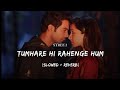 Tumhare Hi Rahenge Hum (Slowed + Reverb) | Varun Jain, Shilpa Rao | Stree 2 | SR Lofi Hub