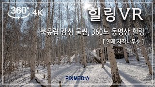 [360 VR 영상 ]힐링영상_북유럽감성, 인제 자작나무숲 | 360VR_Relaxation, Healing in beautiful birch forest Korea