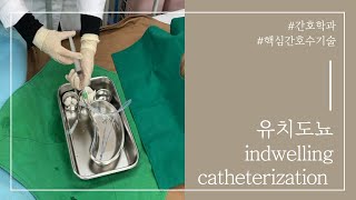 유치도뇨 간호술기 실습 함께해요/ 유치도뇨/ foley/ indwelling catheterization